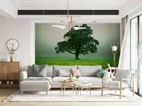 Serene Solitary Tree Landscape Wall Mural