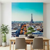 Vibrant Autumn Paris Cityscape Wall Mural