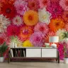 Vibrant Dahlia Garden Wall Mural 3