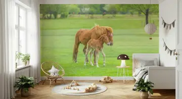 Mother Horse and Foal Green Pasture Wall Mural