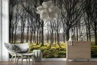 Sunlit Bare Trees Forest Wall Mural