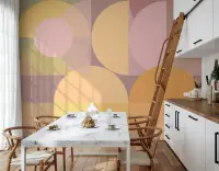 Blush and Gold Geometric Circles Wall Mural