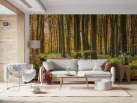 Golden Autumn Forest Scenic Wall Mural