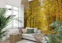 Radiant Yellow Autumn Woodland Path Wallpaper