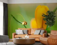 Vibrant Yellow Crocus Floral Wall Mural