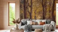 Serene Golden Autumn Forest Wall Mural