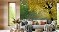 Lush Golden Autumn Forest Landscape Wall Mural