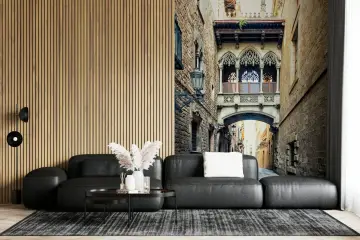 Historic European Archway Street Wall Mural
