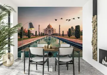 Majestic Taj Mahal Sunset View Wall Mural with Birds