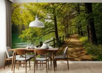 Sunlit Forest Path by Green Lake Wall Mural