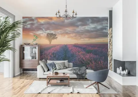 Lavender Field Sunset Scenic Wall Mural