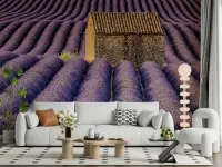Lavender Fields and Stone Cottage Wall Mural