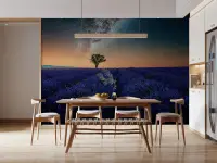 Starry Night Lavender Field Scenic Wall Mural