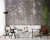 Serene Misty Birch Forest Wall Mural