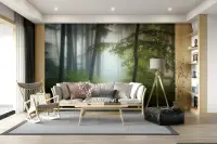 Verdant Forest Mist Wall Mural