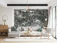 Abstract Monochrome Splatter Wall Mural