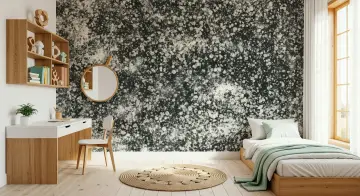 Abstract Monochrome Splatter Wall Mural