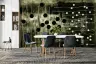 Modern Abstract Circles Wall Mural 4