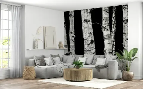 Monochrome Birch Forest Wall Mural