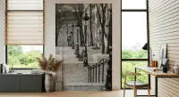Parisian Cobblestone Steps Wall Mural