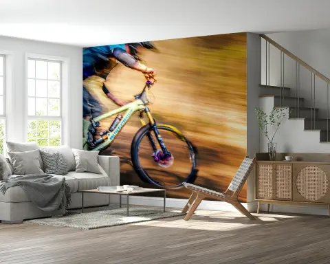 Dynamic Mountain Biker Speed Blur Wall Mural