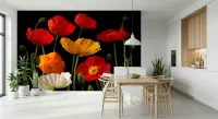 Vibrant Poppy Floral Wall Mural