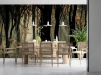 Enchanted Forest Autumn Mist Wall Mural