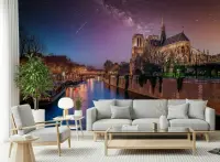 Notre-Dame Cathedral Starry Night Paris Wall Mural