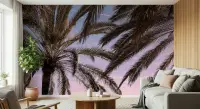 Tropical Palm Fronds Sunset Wall Mural