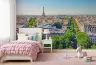 Eiffel Tower Panorama Parisian Boulevard Wallpaper 4