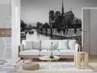 Notre Dame Paris Cityscape Wall Mural