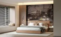 Central Park Winter Night Wall Mural