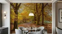 Sunlit Autumn Woodland Path Wallpaper Mural