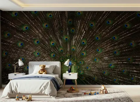 Majestic Peacock Feather Display Wall Mural
