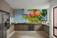 Vibrant Pomegranate Branch Wall Mural