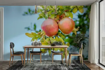 Vibrant Pomegranate Branch Wall Mural