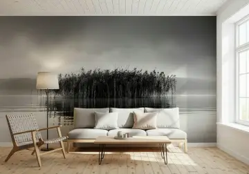 Serene Monochrome Reeds and Water Reflection Wall Mural
