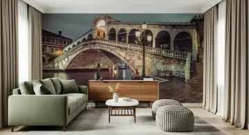 Historic Rialto Bridge Venice Night Wall Mural