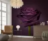 Dramatic Deep Purple Rose Floral Wall Mural 1
