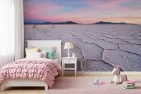 Expansive Pink Sunset Salt Flats Wall Mural