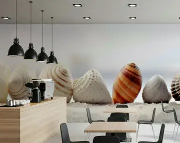 Serene Seashells Coastal Inspired Wall Mural