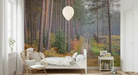 Rustic Woodland Path with Autumn Ferns Wallpaper