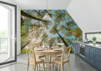 Lush Forest Canopy Sky View Wall Mural