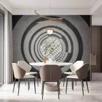 Modern Architectural Spiral Wall Mural