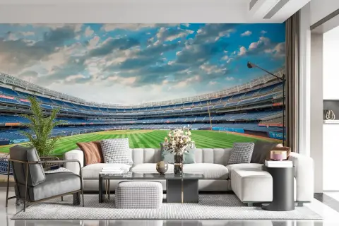 Panoramic Baseball Stadium View Wall Mural