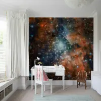 Cosmic Nebula Starfield Wall Mural