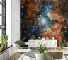 Cosmic Nebula Starfield Wall Mural 4