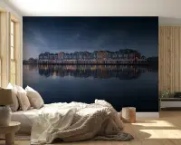 Starry Night Lakeside Village Wall Mural