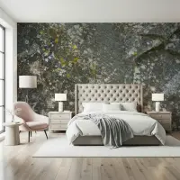 Weathered Stone Texture Wall Mural