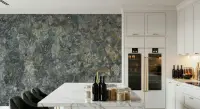Natural Lichen Stone Texture Wall Mural